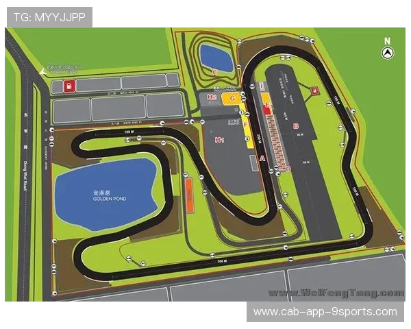 赛车策略谈判：进站时机如何左右最终名次？